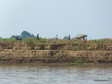 Delta du Mékong - Vietnam